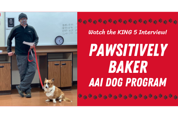 Watch the ​KING 5 Interview | Pawsitively Baker Animal Assisted Interventions Dog Program
