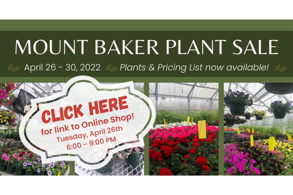 Mount Baker Plant Sale