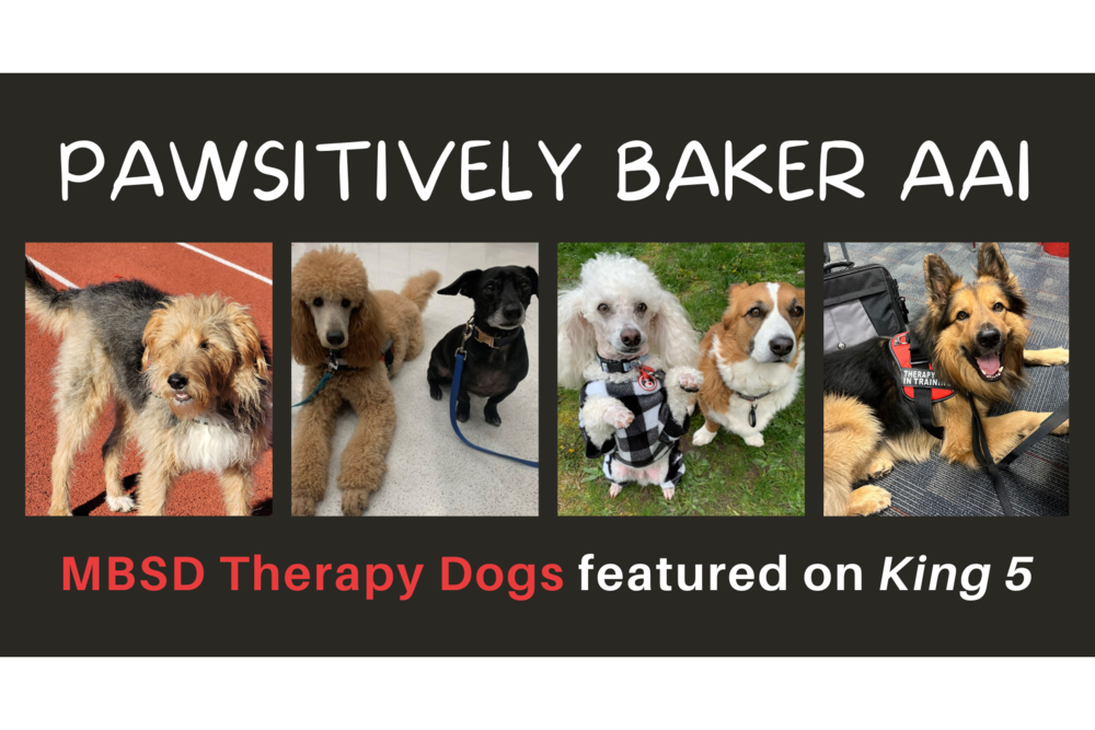 Mount Baker's Pawsitively Baker AAI Therapy Dogs featured on King 5