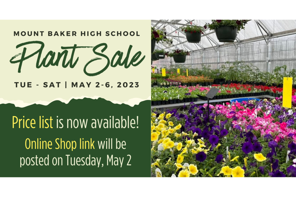 Mt. Baker Plant Sale, flowers, greenhouse