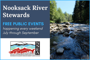 Nooksack River Stewards | Free Public Events this Summer